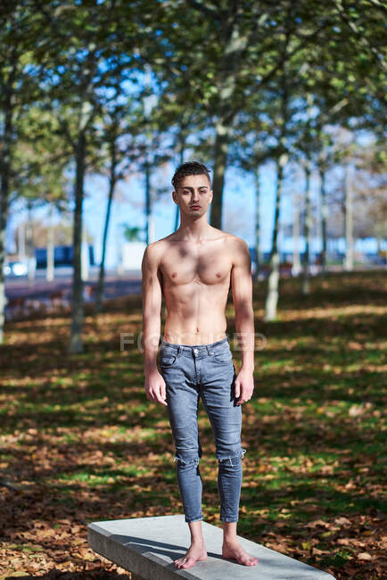 Atleta masculino sin camisa de cuerpo completo en jeans rasgados parado en un banco de concreto y mirando a la cámara durante el soleado día de otoño en el parque - foto de stock