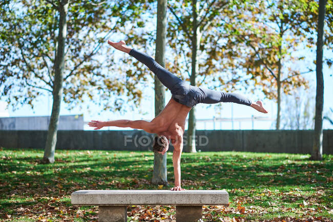 Back view of unrecognizable shirtless guy in jeans doing handstand with legs spread wide on concrete gray bench in autumn park with fallen leaves — Stock Photo