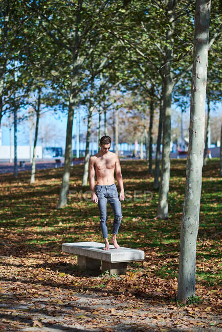 Atleta masculino sin camisa de cuerpo completo en jeans rasgados de pie en un banco de concreto y mirando hacia abajo durante el soleado día de otoño en el parque - foto de stock