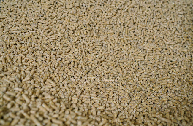Closeup of heap of dry fresh feed for cows stored in warehouses in modern farm in countryside — Stock Photo
