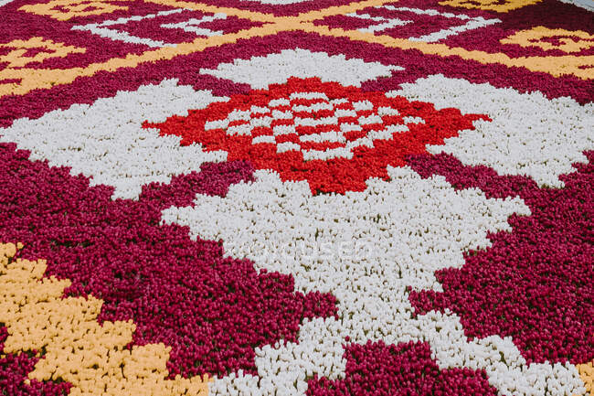 From above of geometric ornaments with colorful mosaics of fresh fragrant flowers locating on incredible large flowerbed on street of Istanbul — Stock Photo