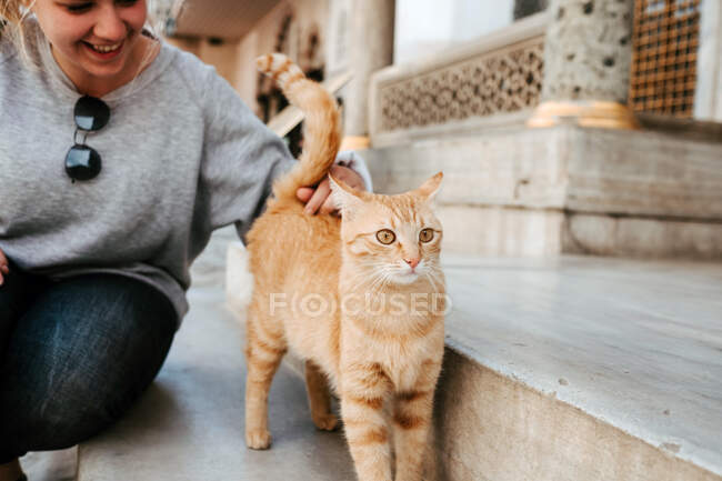 Веселая молодая туристка в повседневной одежде ласкает кошку, сидя на городской улице и глядя в сторону в Стамбуле — стоковое фото