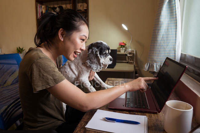Весела фрілансерка, що працює дистанційно на ноутбуці, сидить на стільці, тримаючи собаку — стокове фото