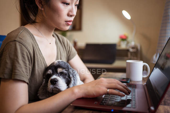 Vista lateral de la mujer freelancer enfocada irreconocible recortada trabajando remotamente en el portátil sentado en la silla mientras sostiene al perro - foto de stock