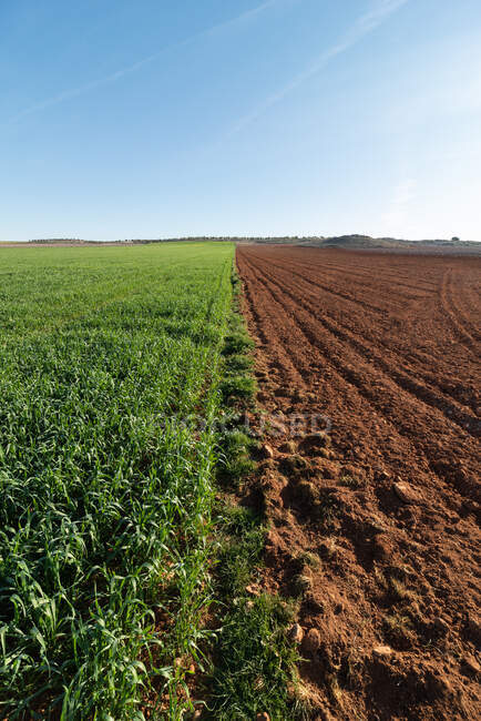 Paysage rural avec champ agricole à moitié labouré et à moitié planté sous le ciel bleu — Photo de stock