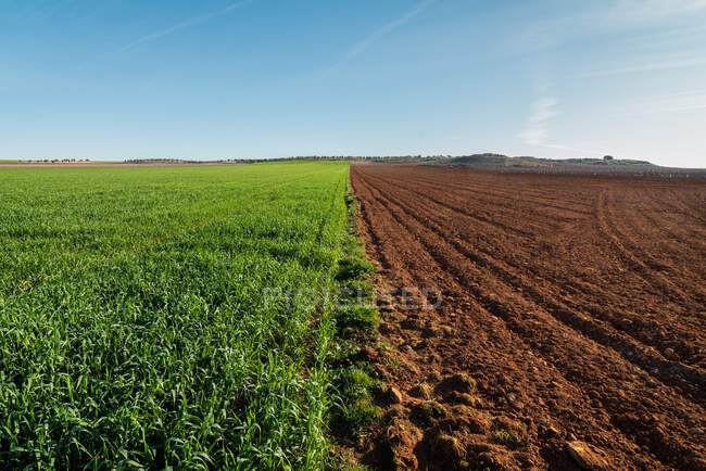 Rural landscape with agricultural field half plowed and half planted under blue sky — Stock Photo