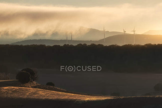 Tranquil evening scenery of hilly rural terrain with dark forest and windmills — Stock Photo