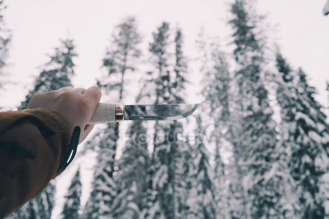 Мужчина держит профессиональный нож в заснеженном зимнем лесу — стоковое фото