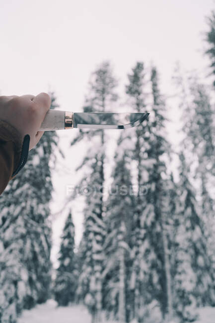 Mão masculina segurando faca profissional na floresta de inverno nevado — Fotografia de Stock