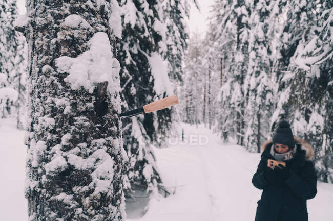Ножи, застрявшие в стволе дерева в снежном зимнем лесу с размытой женщиной на заднем плане в теплой одежде и шляпе с чашкой горячего напитка, стоящего в зимний день в финской сельской местности — стоковое фото