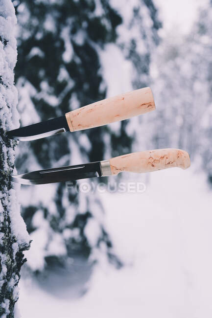 Par de facas profissionais preso no tronco da árvore na floresta de inverno nevado — Fotografia de Stock