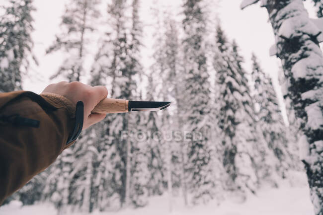 Crop anonymous male holding professional knife while standing in winter forest with snowy spruce trees — Stock Photo