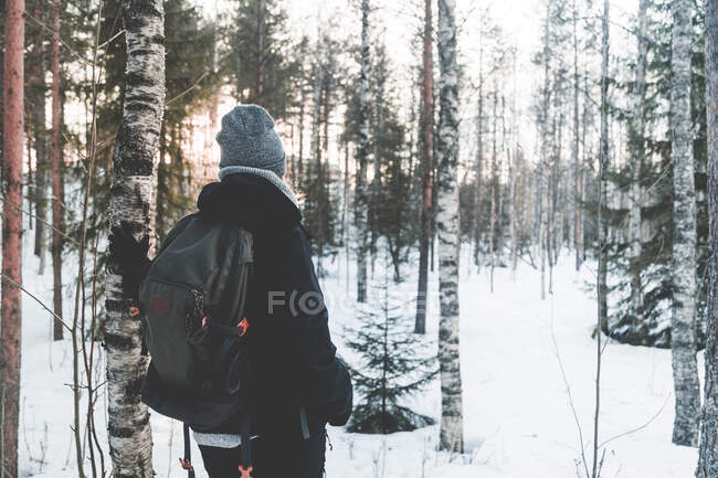 Обратный вид на неузнаваемую женщину-путешественницу в теплой одежде и рюкзаке, стоящую, созерцая пейзаж на снежной тропе среди заснеженных елок в зимний день в Финляндии — стоковое фото