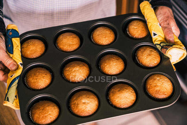From above cropped unrecognizable woman in apron carrying muffin tray with delicious baked muffins in paper case — Stock Photo