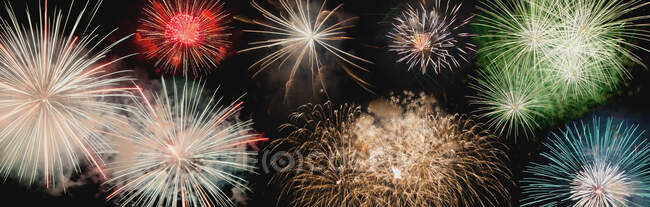 Vivid different fireworks exploding on background of black night sky — Stock Photo