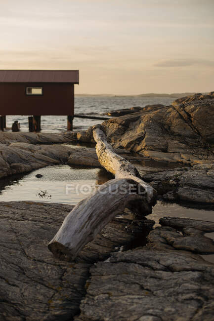 Casa remota de madera roja situada en la costa rocosa con tronco de árbol seco en suelo pedregoso entre charcos fríos por la noche - foto de stock