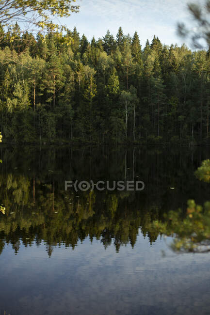 Cenário pitoresco de lago tranquilo rodeado por árvores verdes que refletem na água durante o pôr-do-sol — Fotografia de Stock