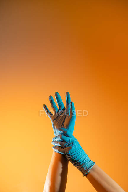 Médico anónimo en guantes quirúrgicos desechables tocando la muñeca sobre fondo naranja en estudio - foto de stock