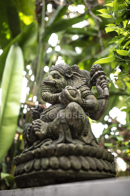 Baixo ângulo de figura shabby de Ganapati cercado por folhagem tropical verde em Bali — Fotografia de Stock