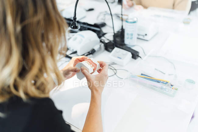 De arriba cultivo estudiante femenina examinando la mandíbula dental artificial, mientras que la formación en prótesis en el laboratorio moderno - foto de stock