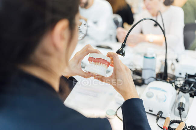 De arriba cultivo estudiante femenina examinando la mandíbula dental artificial, mientras que la formación en prótesis en el laboratorio moderno - foto de stock