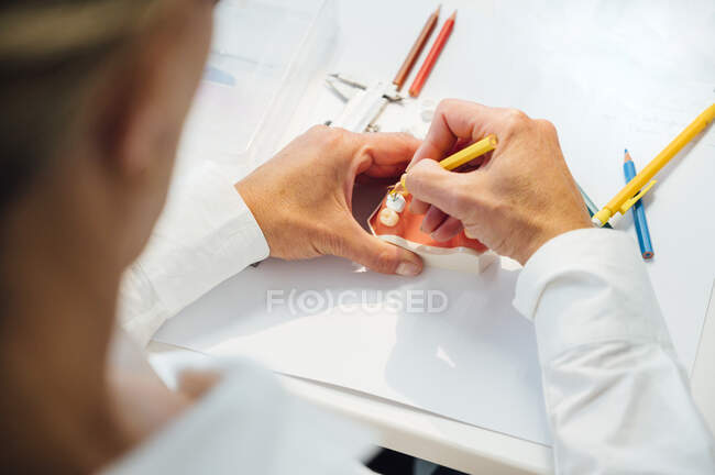 From above of crop orthodontist with pencil in hand working with white dental mold at table with professional equipment — Stock Photo