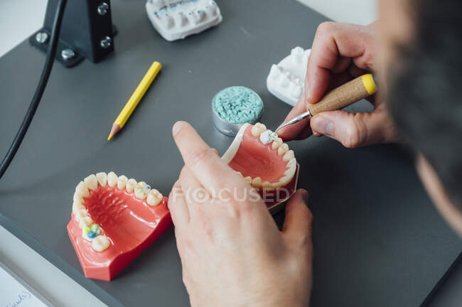 Сверху студент урожая с искусственной стоматологической моделью и обучением зубов во время занятий в лаборатории — стоковое фото