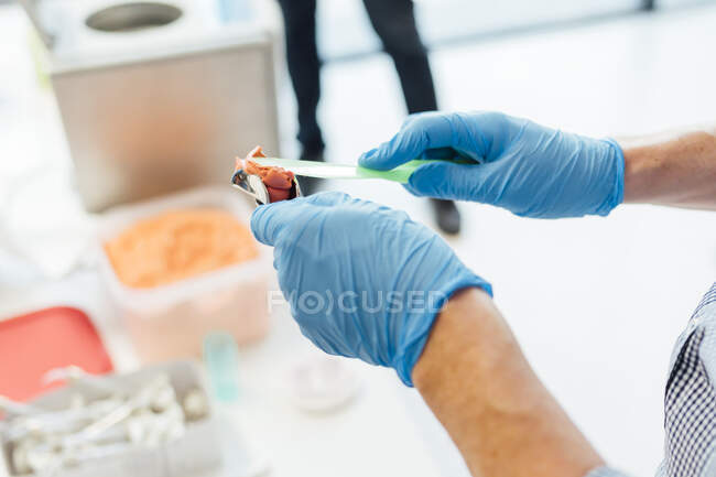 From above crop male student hands holding denture and paste while sitting at table during dentistry class — Stock Photo