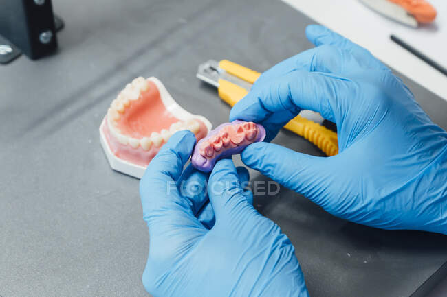 Da sopra coltura mani maschili studente tenendo la dentiera e pasta mentre seduto a tavola durante la lezione di odontoiatria — Foto stock