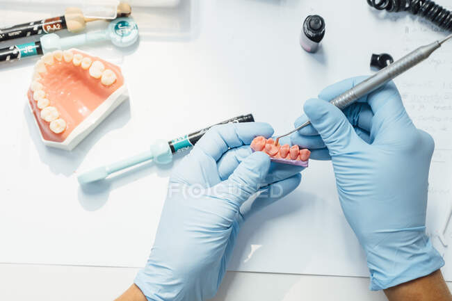 From above of crop student with artificial dental model and bur learning training in dental treatments during class in laboratory — Stock Photo