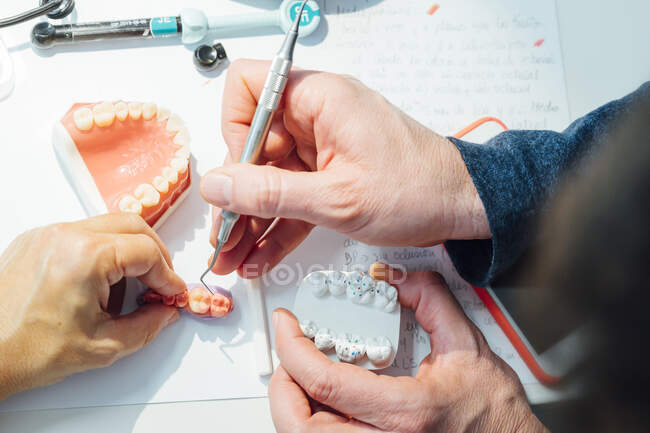 Colheita estudante irreconhecível segurando dentadura e um lápis enquanto sentado à mesa durante a aula de odontologia — Fotografia de Stock