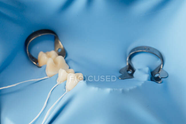 Von oben aus blauem Gummi Damm auf Kunststoff Schaufensterpuppe während der Ausbildung in der zahnärztlichen Behandlung auf Zahnmedizin-Kurs installiert — Stockfoto