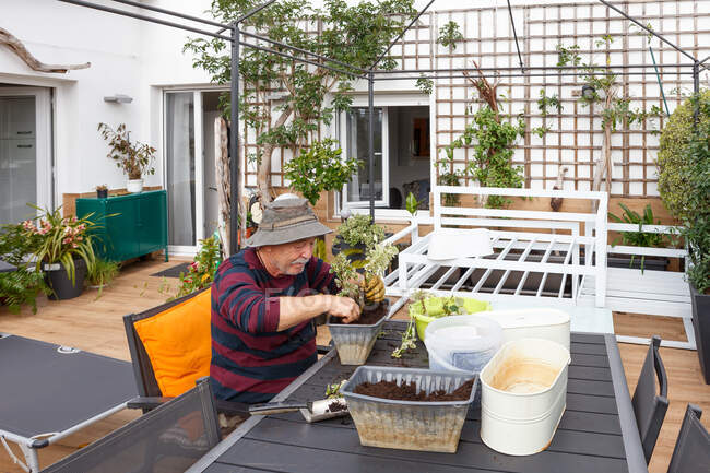 Seitenansicht eines Rentners in Freizeitkleidung und Hut, der Setzlinge im Topf pflanzt, während er am Tisch im Garten neben dem Haus sitzt — Stockfoto