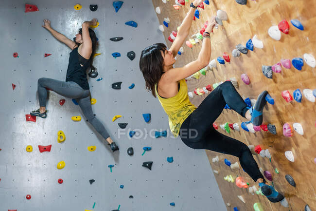 Vista lateral de alpinistas do sexo feminino fortes que têm treinamento na parede no ginásio moderno — Fotografia de Stock