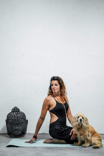 Visão lateral do conteúdo feminino sentado no tapete de ioga com o cão Cocker Spaniel Inglês e meditando em Padmasana no quarto com a cabeça de Buda e paus de bambu — Fotografia de Stock