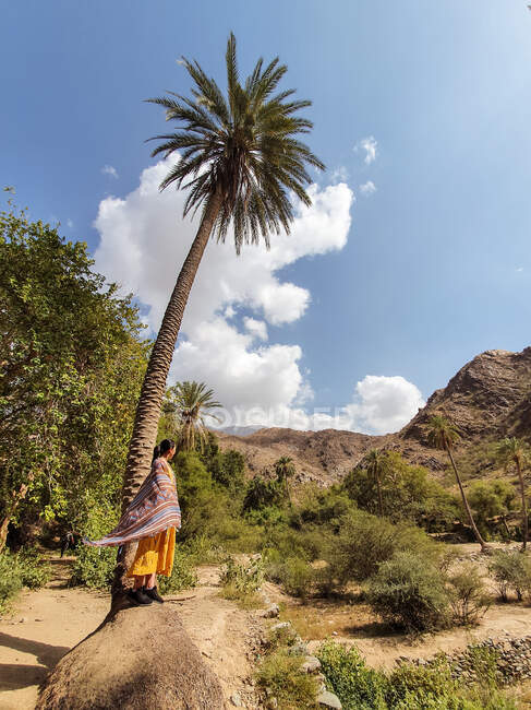 Distante turista donna in abito giallo e mantello colorato in piedi su una grande roccia vicino ad alta palma e godendo di una splendida vista della montagna rocciosa con piante verdi e cielo blu in Arabia Saudita — Foto stock
