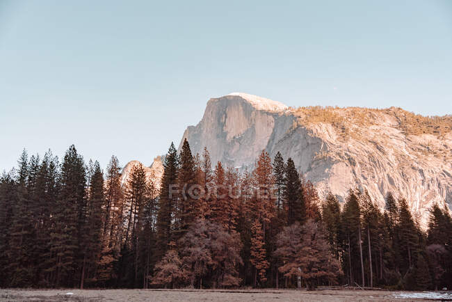 Escena otoñal con campo, árboles y roca en el Parque Nacional Yosemite en California - foto de stock