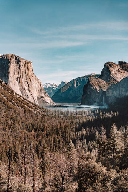 Rochers et brouillard sur la forêt, parc national de Yosemite en Californie — Photo de stock