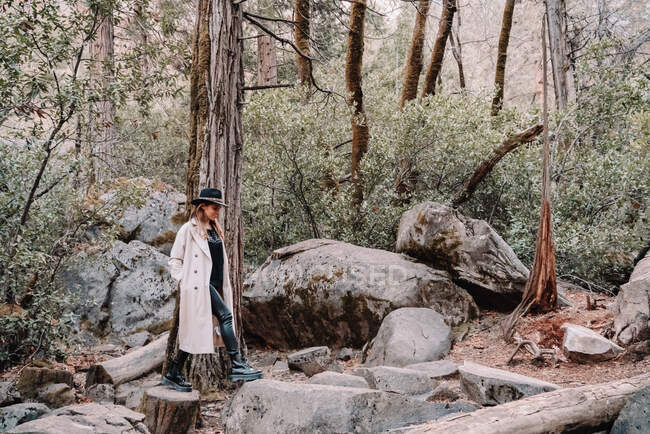 Vista lateral de longitud completa de la joven mujer en traje de moda y sombrero de pie cerca de un árbol viejo y piedras grandes en el bosque de montaña en el Parque Nacional Yosemite en California - foto de stock