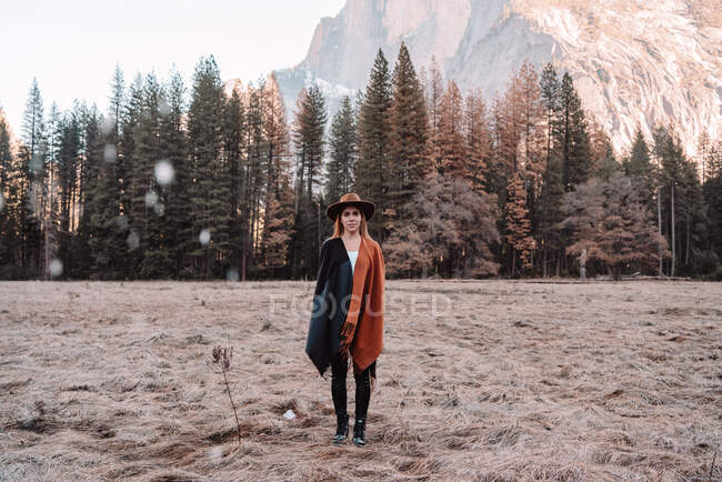 Feliz relaxado jovem viajante feminino em roupa elegante sentado na fronteira de pedra contra a paisagem pitoresca montanha com falésias rochosas e floresta de coníferas no Parque Nacional de Yosemite, nos EUA — Fotografia de Stock