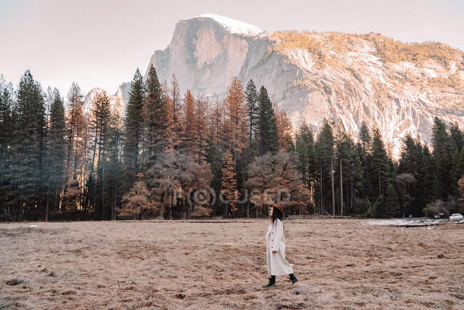 Happy relaxed young female traveler in stylish outfit sitting on stone border against picturesque mountain scenery with rocky cliffs and coniferous forest in Yosemite National Park in USA — Stock Photo