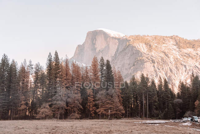 Cena de outono com campo, árvores e rocha no Parque Nacional de Yosemite, na Califórnia — Fotografia de Stock
