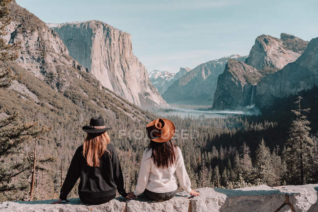 Vista posterior de elegantes amigas jóvenes en ropa de moda y sombreros parados cerca de un árbol de secuoya alto en el bosque mientras pasan tiempo en el Parque Nacional Yosemite en California - foto de stock