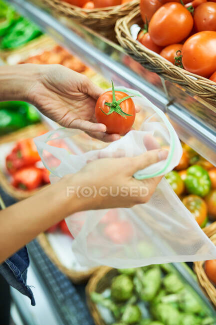 Mains féminines ramassant tomate avec sac recyclable — Photo de stock