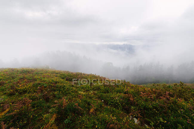 Мальовничий краєвид зелених пагорбів з низькими хмарами. — стокове фото