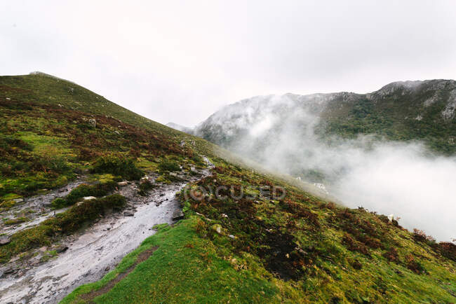 Зеленые холмы сцена с низкими облаками — стоковое фото