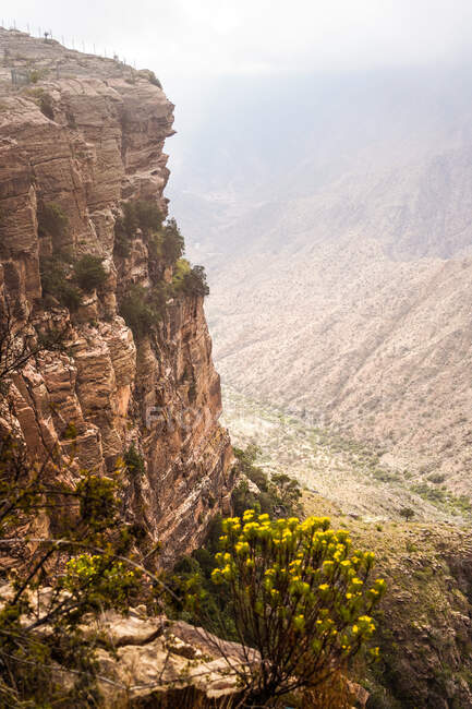 Vista mozzafiato di ruvida scogliera rocciosa con arbusti verdi e barriera metallica situata in un terreno montuoso nella giornata nebbiosa — Foto stock