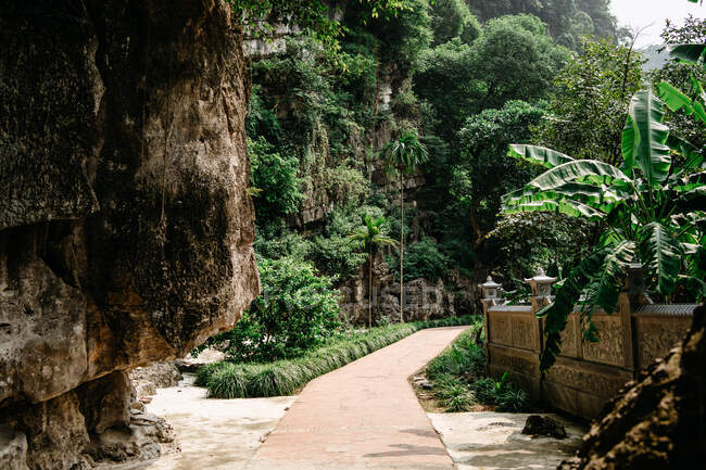 Удивительный пейзаж каменной дорожки, ведущей через сад с горными и экзотическими растениями в солнечный день во Вьетнаме — стоковое фото