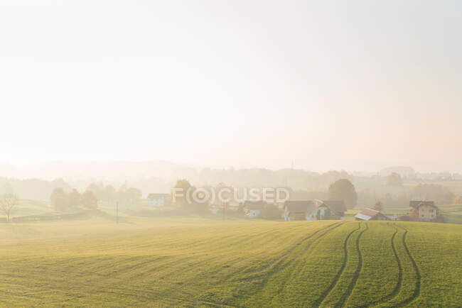 Champs verts et maisons de village couvertes de brouillard — Photo de stock