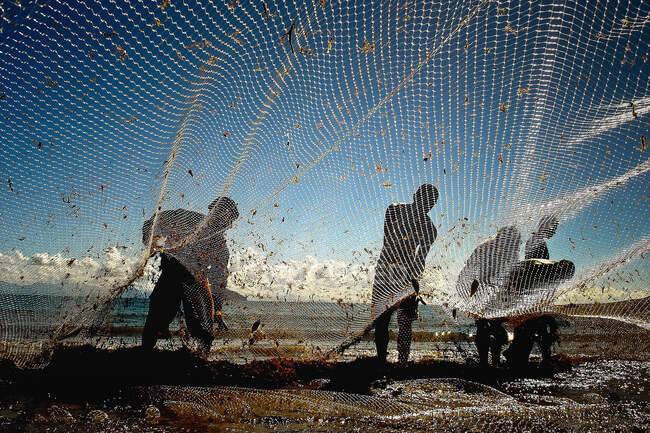 Grupo de pescadores que utilizan una red de pesca - foto de stock
